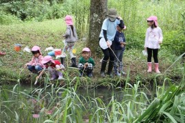 ザリガニ釣りに行ったよ！