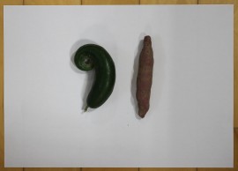 きょうは「９」がつ「１」にち です！！