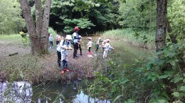 ザリガニ釣りに行ったよ！