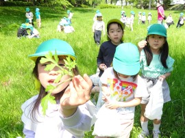 「よもぎのいい匂い♪」