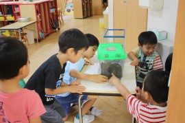 カブトムシがやってきた！